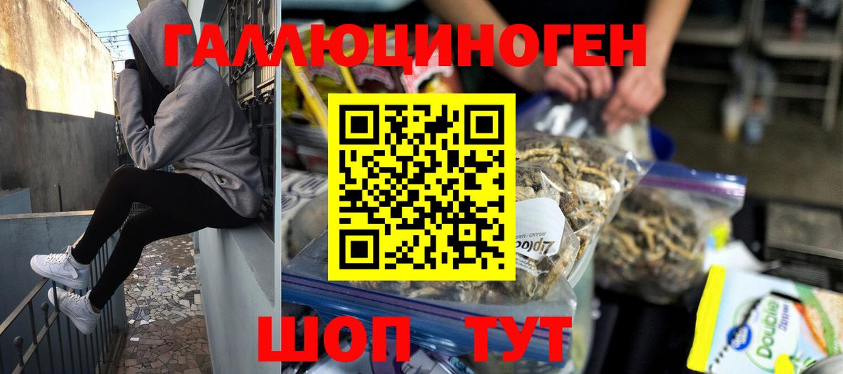 Псилоцибиновые грибы Psilocybe  Псилоцибиновые грибы прущие грибы  Вход с VPN  Вышний Волочёк 